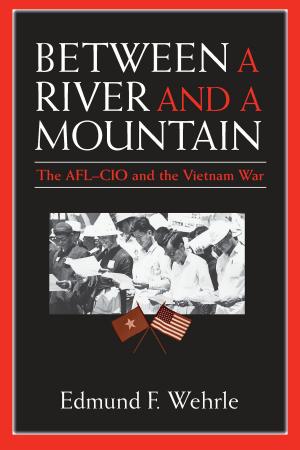 Book cover of Between a River and a Mountain