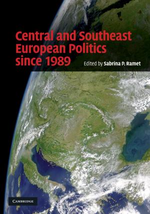 Cover of the book Central and Southeast European Politics since 1989 by Julie Brown