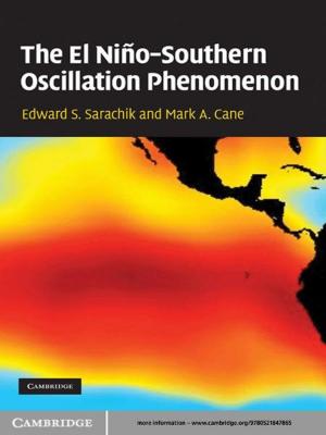 Cover of the book The El Niño-Southern Oscillation Phenomenon by Piet Groeneboom, Geurt Jongbloed