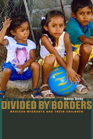 Cover of the book Divided by Borders by Dr. Mark A. Colwell