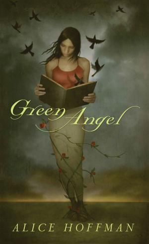 Cover of the book Green Angel by Caleb Huett