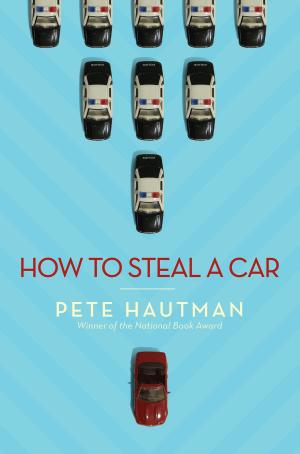 Cover of the book How To Steal a Car by Inbali Iserles