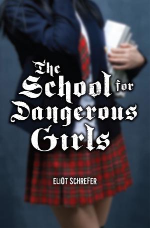 Cover of the book The School For Dangerous Girls by Anna Claybourne