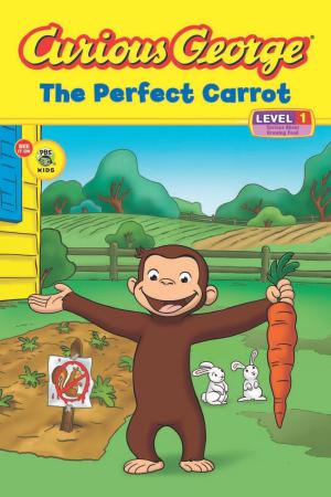 Cover of the book Curious George The Perfect Carrot (CGTV Reader) by David Stuart MacLean