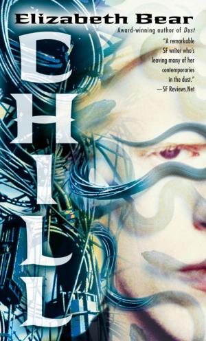 Cover of the book Chill by Pamela Constable