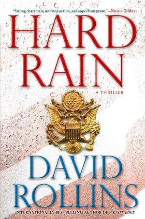 Cover of the book Hard Rain by Vicki Hinze