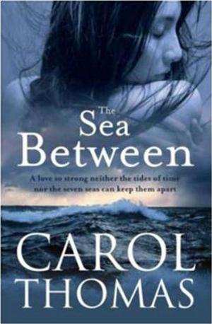 Cover of the book The Sea Between by Sarah Hunstead