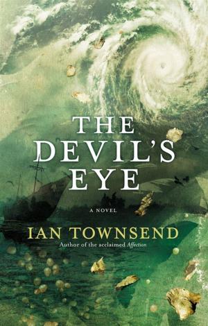 Cover of the book The Devil's Eye by Tess Evans