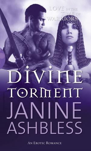 Cover of the book Divine Torment by Audrey Reimann