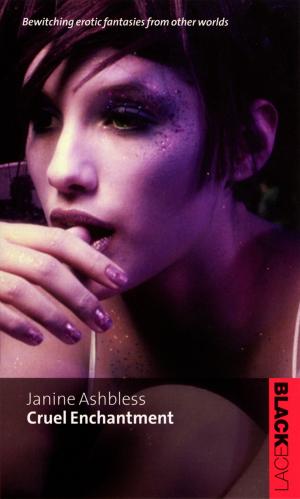 Cover of the book Cruel Enchantment by James Martin