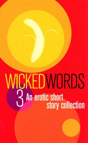 Cover of the book Wicked Words 3 by Mel Noakes
