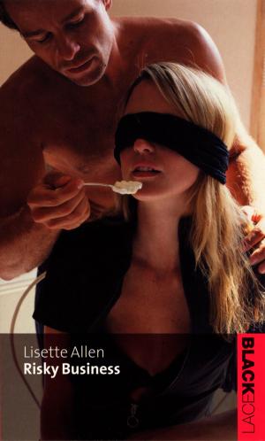 Cover of the book Risky Business by Lisette Allen