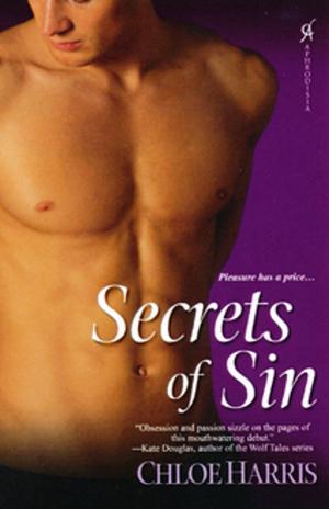 Cover of the book Secrets of Sin by Debra Sennefelder