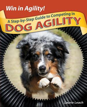 bigCover of the book Win in Agility! by 