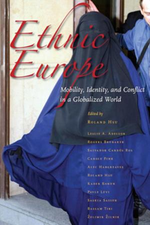 Cover of the book Ethnic Europe by Jeffrey Zax