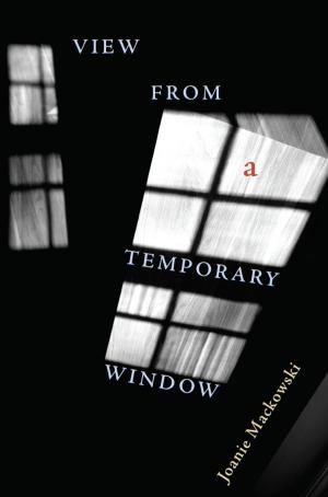 Cover of the book View from a Temporary Window by 