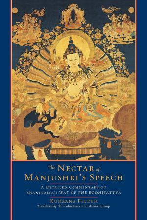 Cover of the book The Nectar of Manjushri's Speech by Tsangnyön Heruka