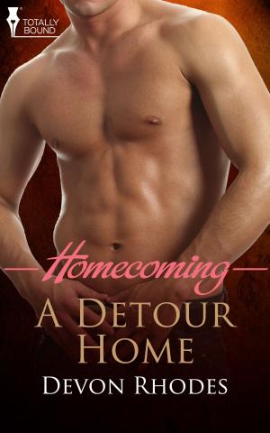 Cover of the book A Detour Home by Julieanne Lynch