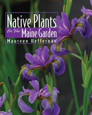 Cover of the book Native Plants for Your Maine Garden by Heather Austin, Angeli Perrow