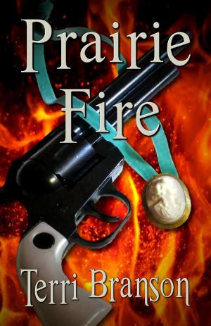 Cover of the book Prairie Fire by Paula Blais Gorgas