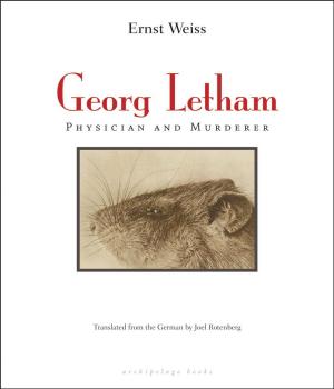 Cover of the book Georg Letham by Breyten Breytenbach