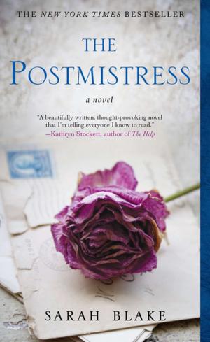 Cover of the book The Postmistress by Paulin Etienne d'Anglas de Praviel