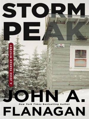 Cover of the book Storm Peak by Paige Shelton