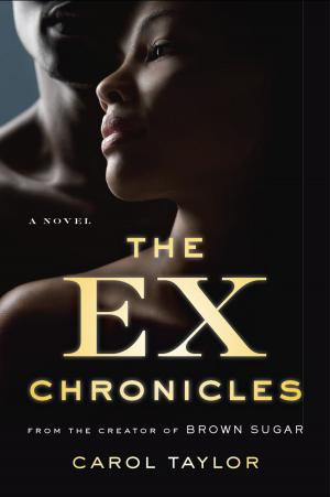Cover of the book The Ex Chronicles by Eric Kaplan