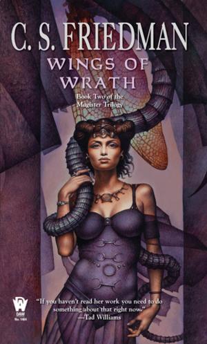 Cover of the book Wings of Wrath by Jim C. Hines