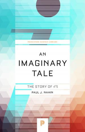 Book cover of An Imaginary Tale