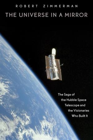 Cover of the book The Universe in a Mirror by John Hagan