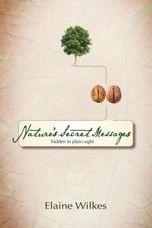 Cover of the book Nature's Secret Messages by Eleanor Hinton Hoytt, Hilary Beard
