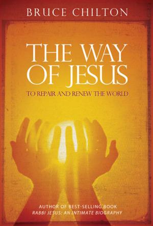 Book cover of The Way of Jesus