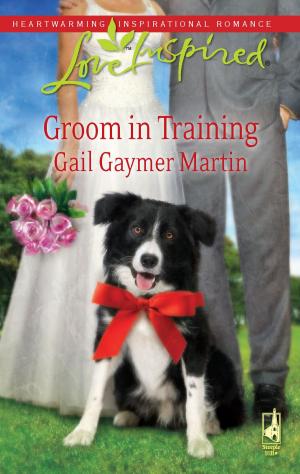 Cover of the book Groom in Training by Cheryl Wyatt
