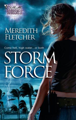 Cover of the book Storm Force by Karen Rose Smith