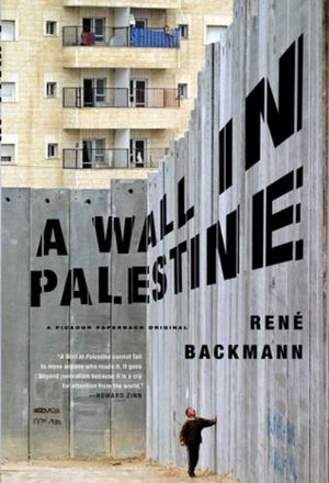 Cover of the book A Wall in Palestine by Elliott Currie
