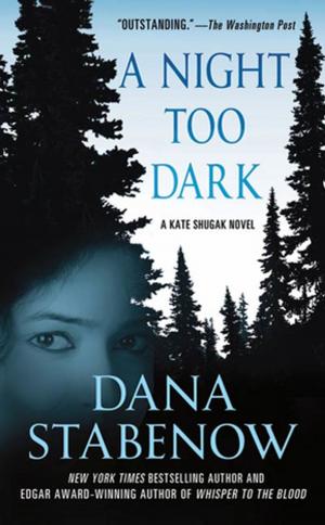 Cover of the book A Night Too Dark by India Edghill