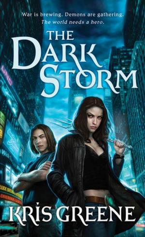 Cover of the book The Dark Storm by Iris Finz, Steven Finz