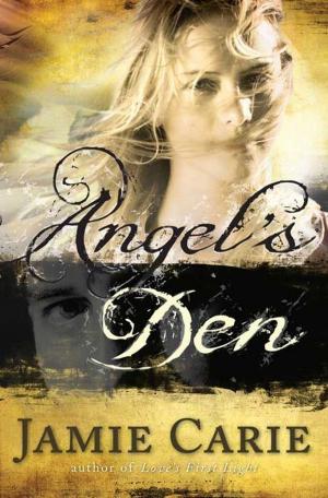 Book cover of Angel's Den