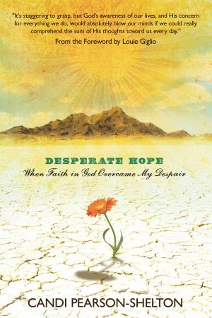Cover of the book Desperate Hope by Jules Verne