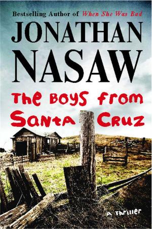 Cover of the book The Boys from Santa Cruz by Uzzi Reiss, M.D.