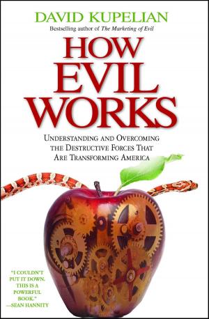 Cover of the book How Evil Works by Kevin Lacz, Ethan E. Rocke, Lindsey Lacz