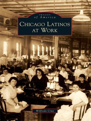 Cover of the book Chicago Latinos at Work by Jackie Nickel