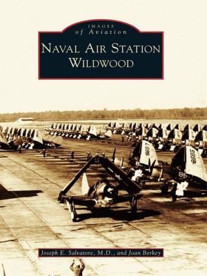 Cover of the book Naval Air Station Wildwood by Katy M. Tahja