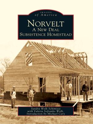 Cover of the book Norvelt by Jan MacKell, Cripple Creek District Museum