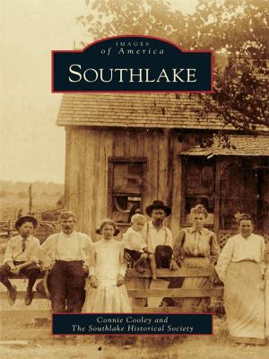 Cover of the book Southlake by Richard Thompson