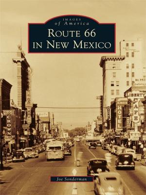 Cover of the book Route 66 in New Mexico by Larry Aasen
