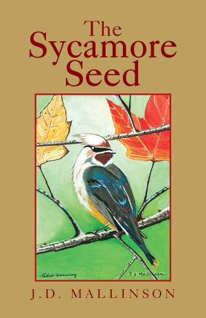 Cover of the book The Sycamore Seed by Lascelles Abercrombie