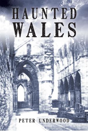 Cover of the book Haunted Wales by Lawrence Beesley