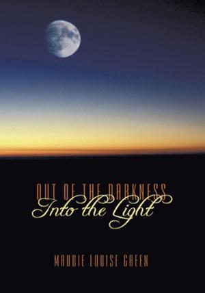 Cover of the book Out of the Darkness into the Light by Sandra Jo Troupe, Darrell R. Troupe